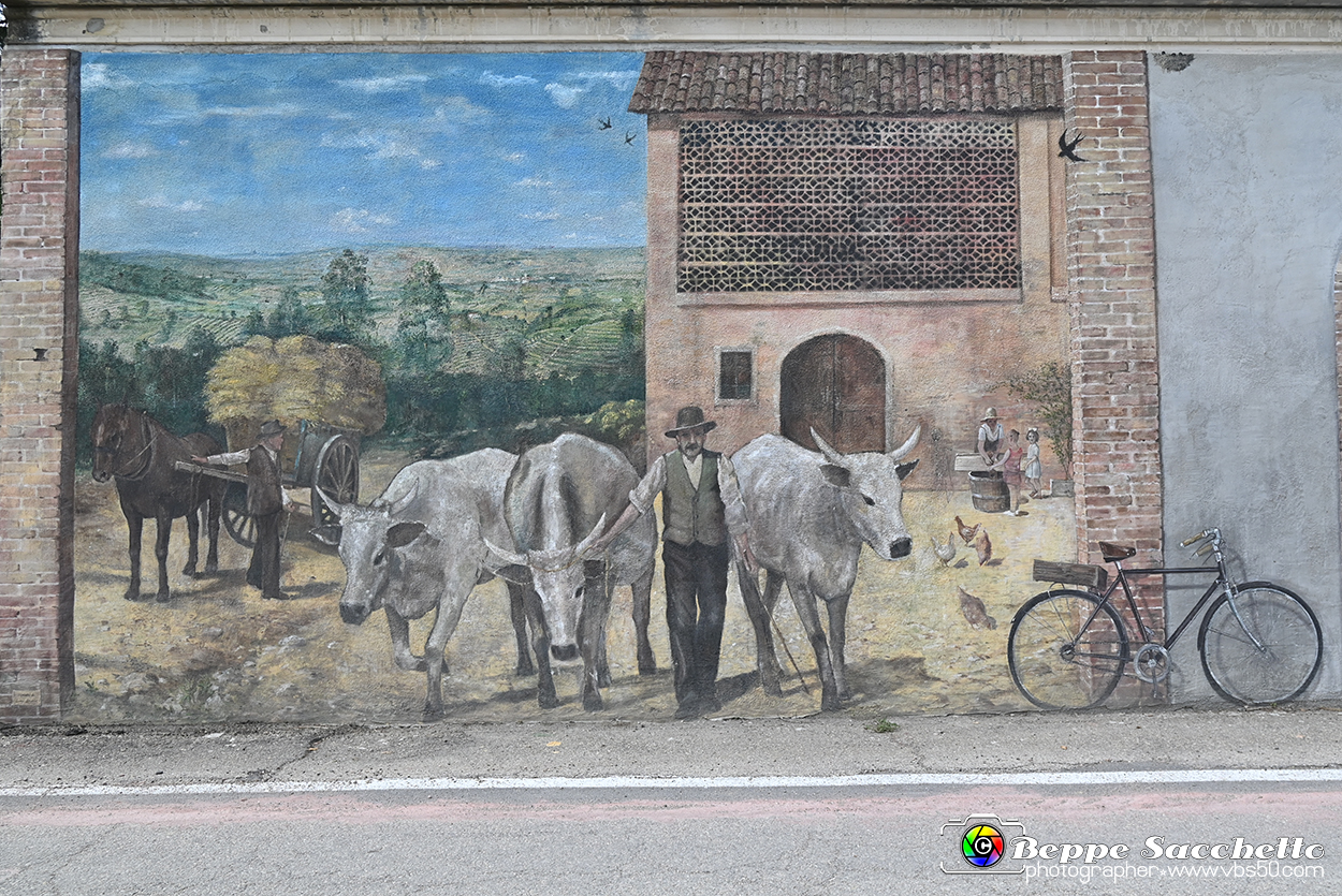 VBS_3767 - Fontanile (Asti) - Murales di Luigi Amerio.jpg